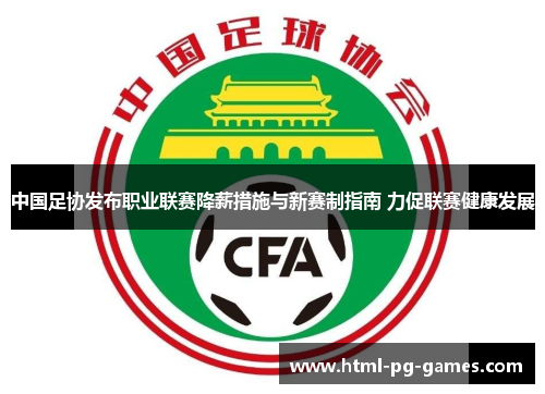 中国足协发布职业联赛降薪措施与新赛制指南 力促联赛健康发展
