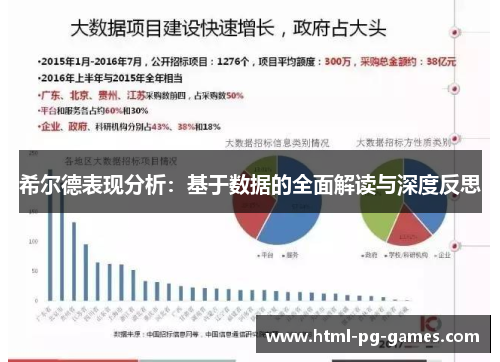 希尔德表现分析：基于数据的全面解读与深度反思