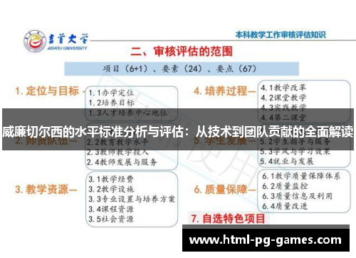 威廉切尔西的水平标准分析与评估：从技术到团队贡献的全面解读